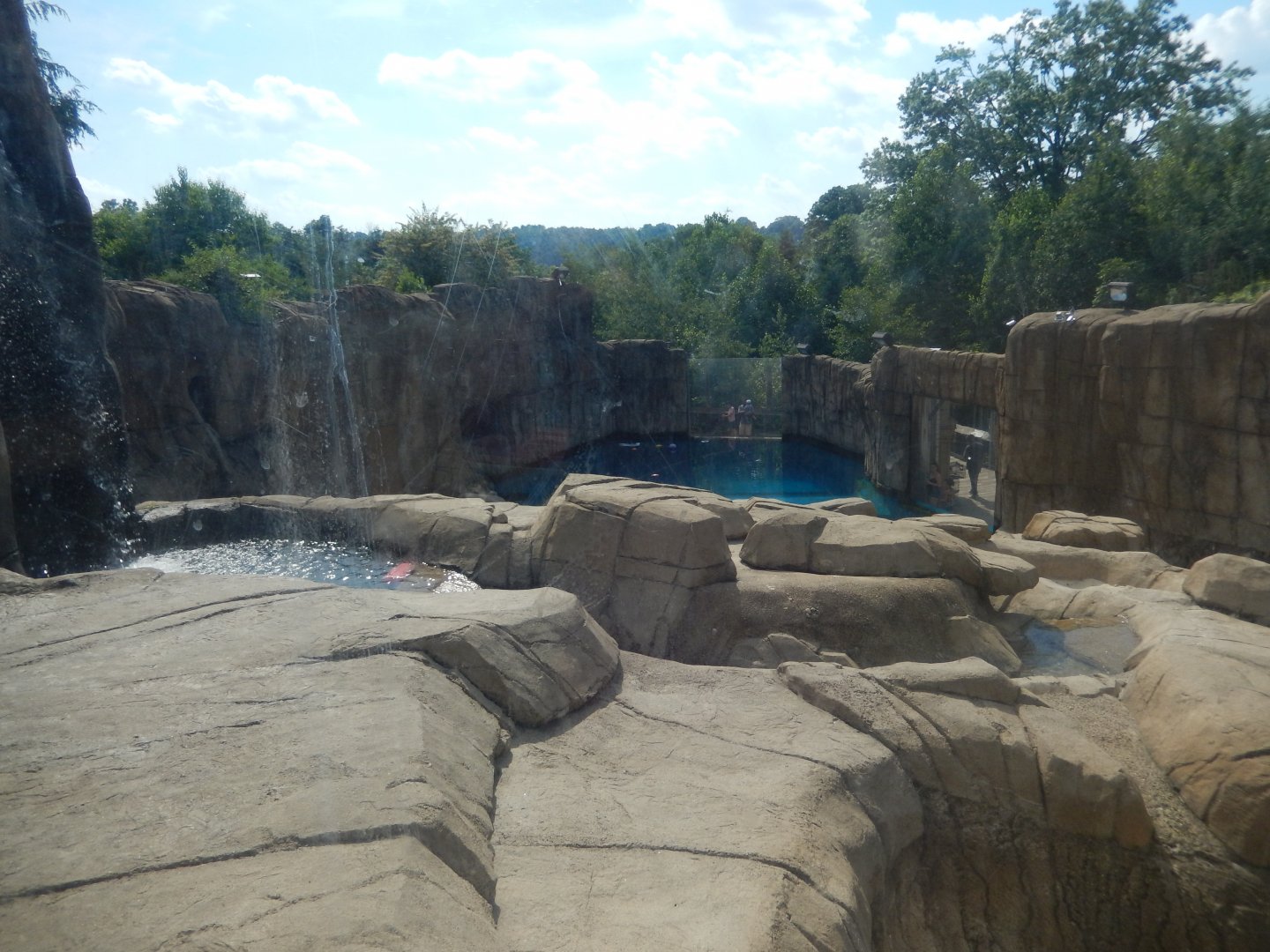 6/17/2018 - Polar Bear Habitat