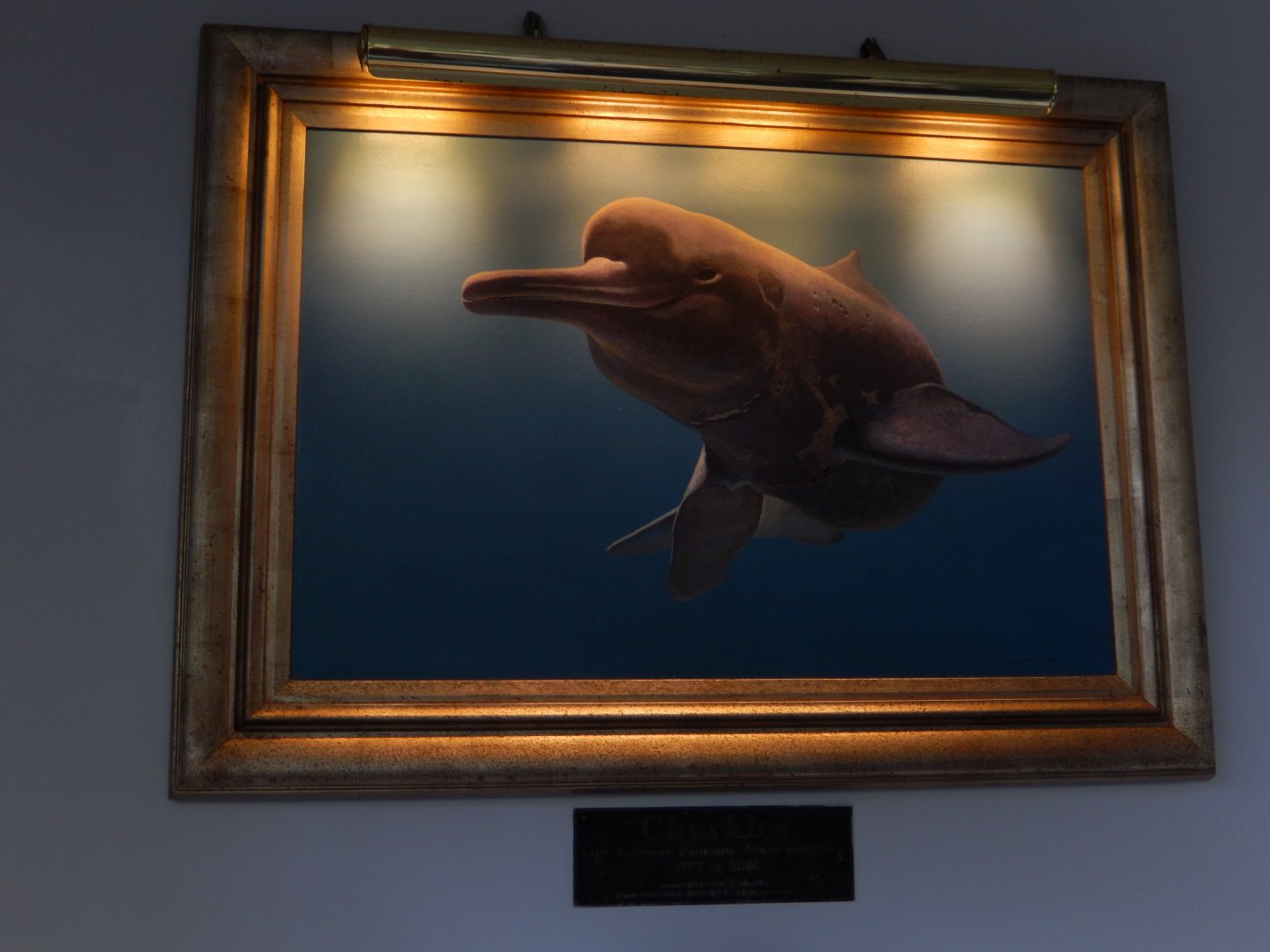 6/17/2018 - Portrait of Chuckles