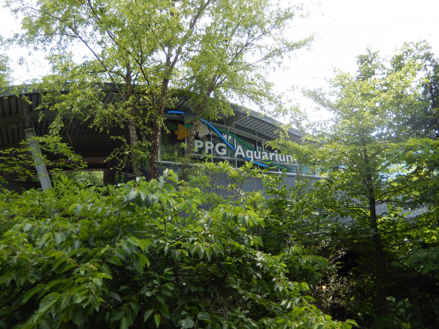 6/17/2018 - PPG Aquarium Exterior