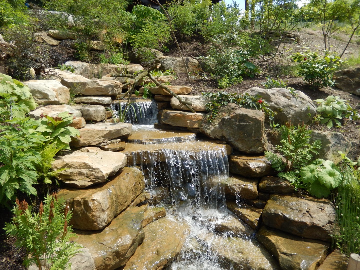 6/17/2018 - Waterfall Area