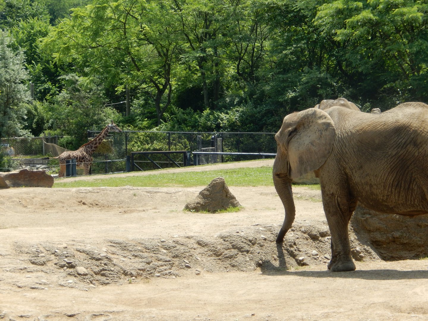 6/17/2018 - What's Up, Neighbor?