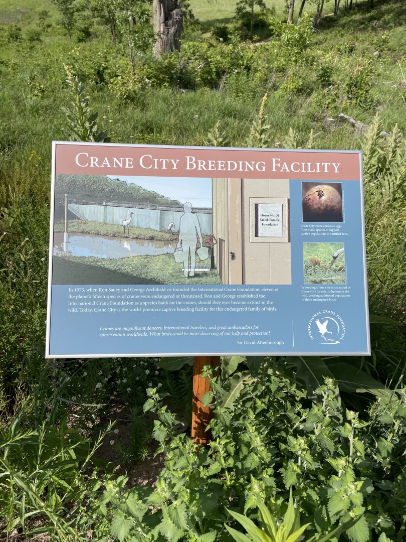 6/22/2021 - Crane City Info