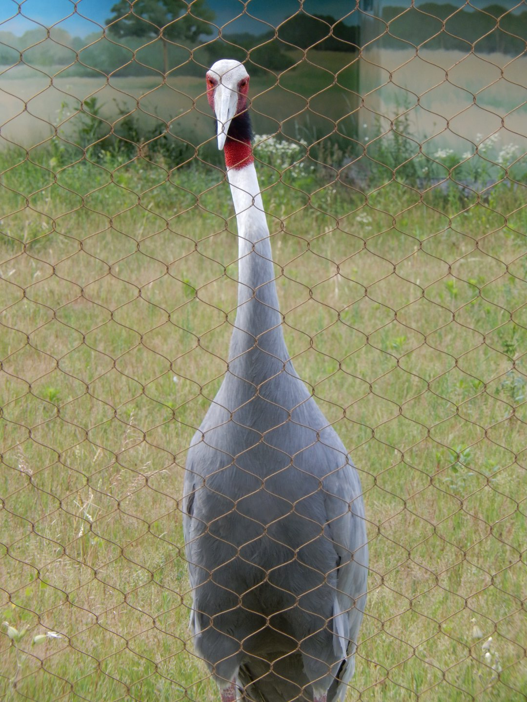 6/22/2021 - Sizing Me Up!