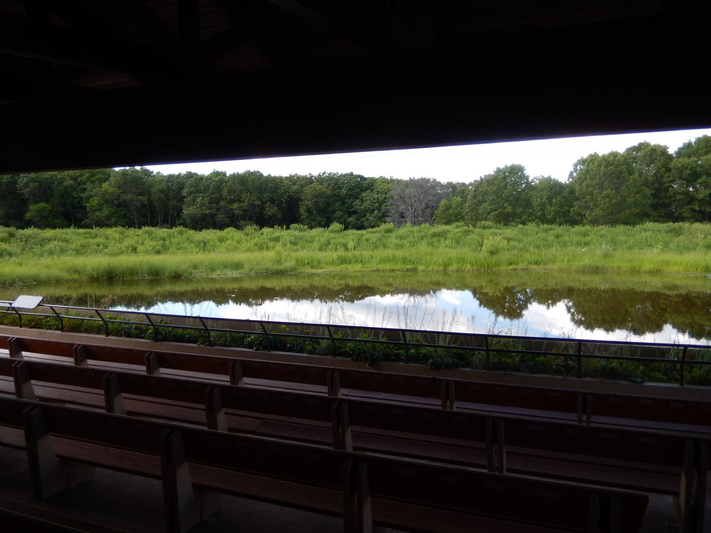 6/22/2021 - Whooping Crane Habitat