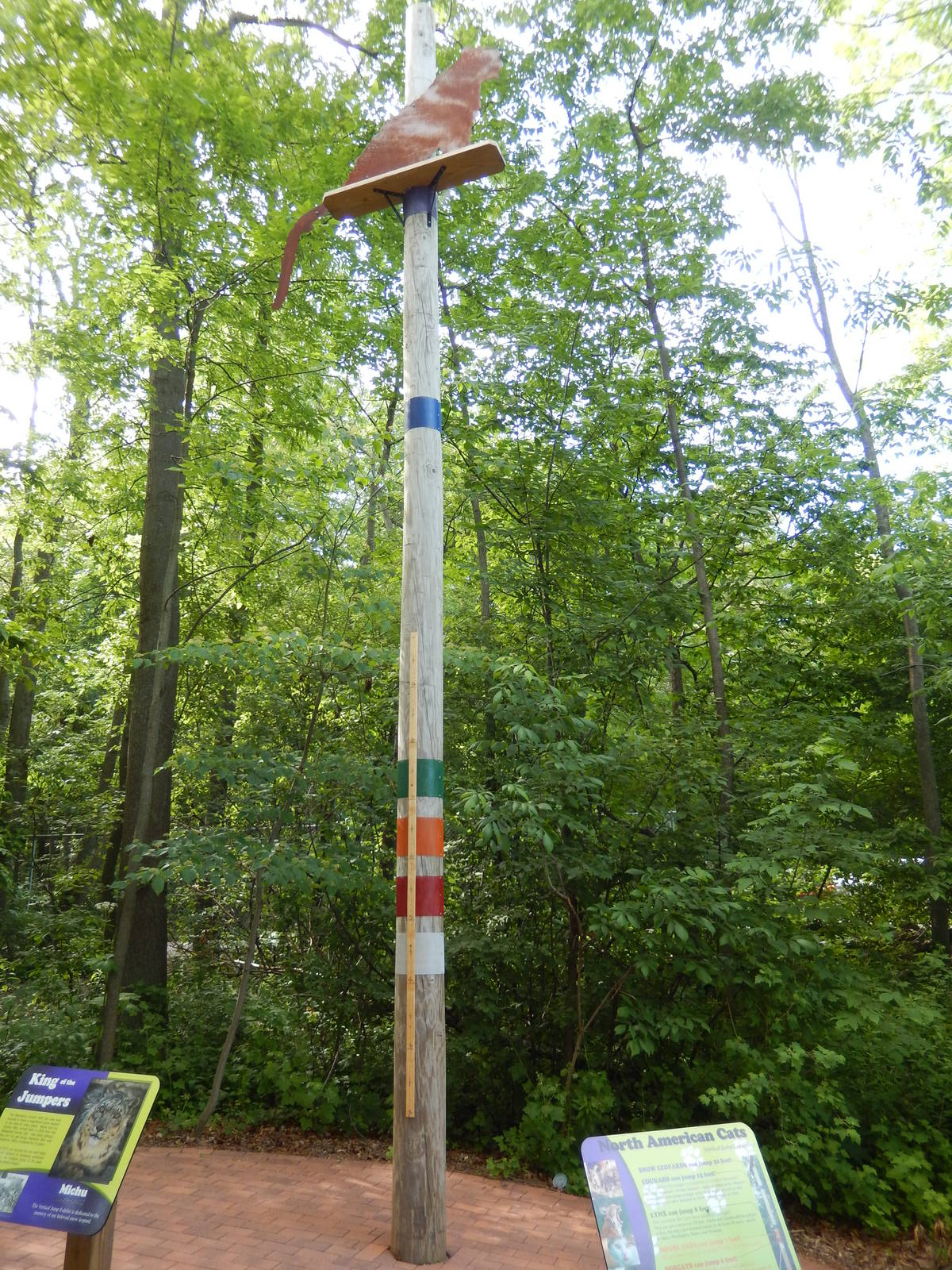 6/23/2016 - Animal Jump Scale Pole