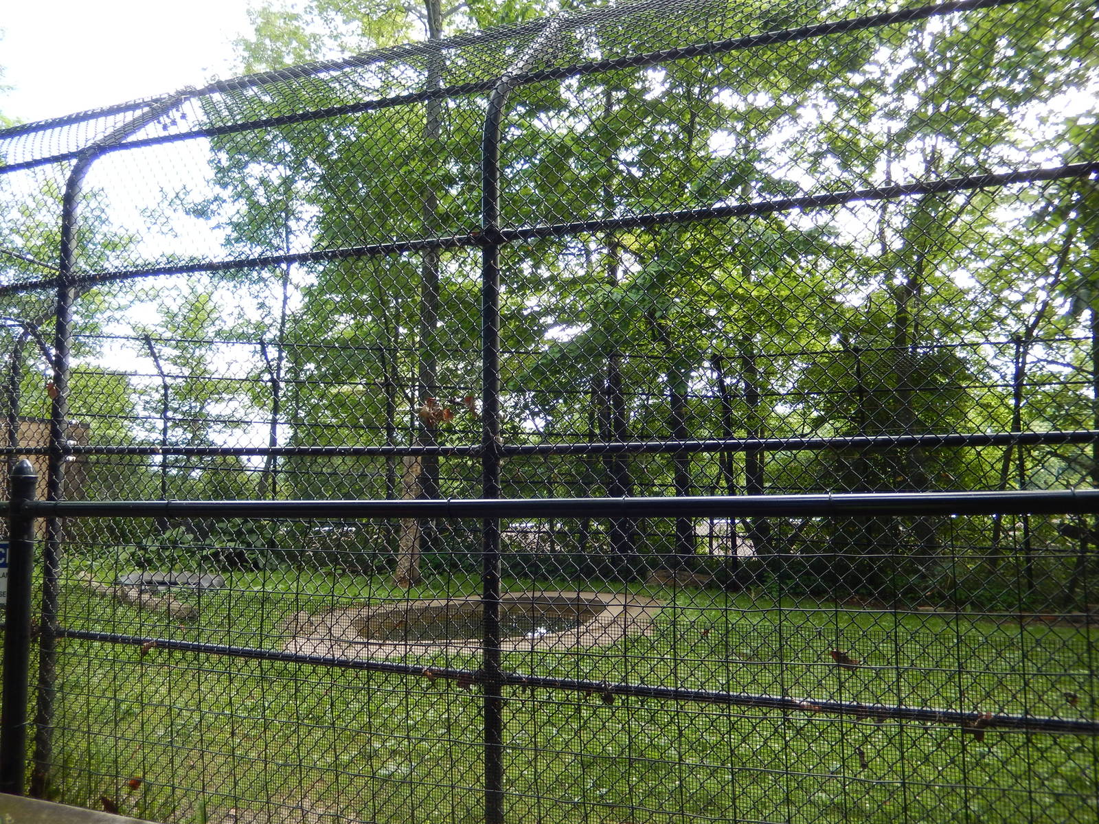 6/23/2016 - Asian Black Bear Exhibit (Left Half)