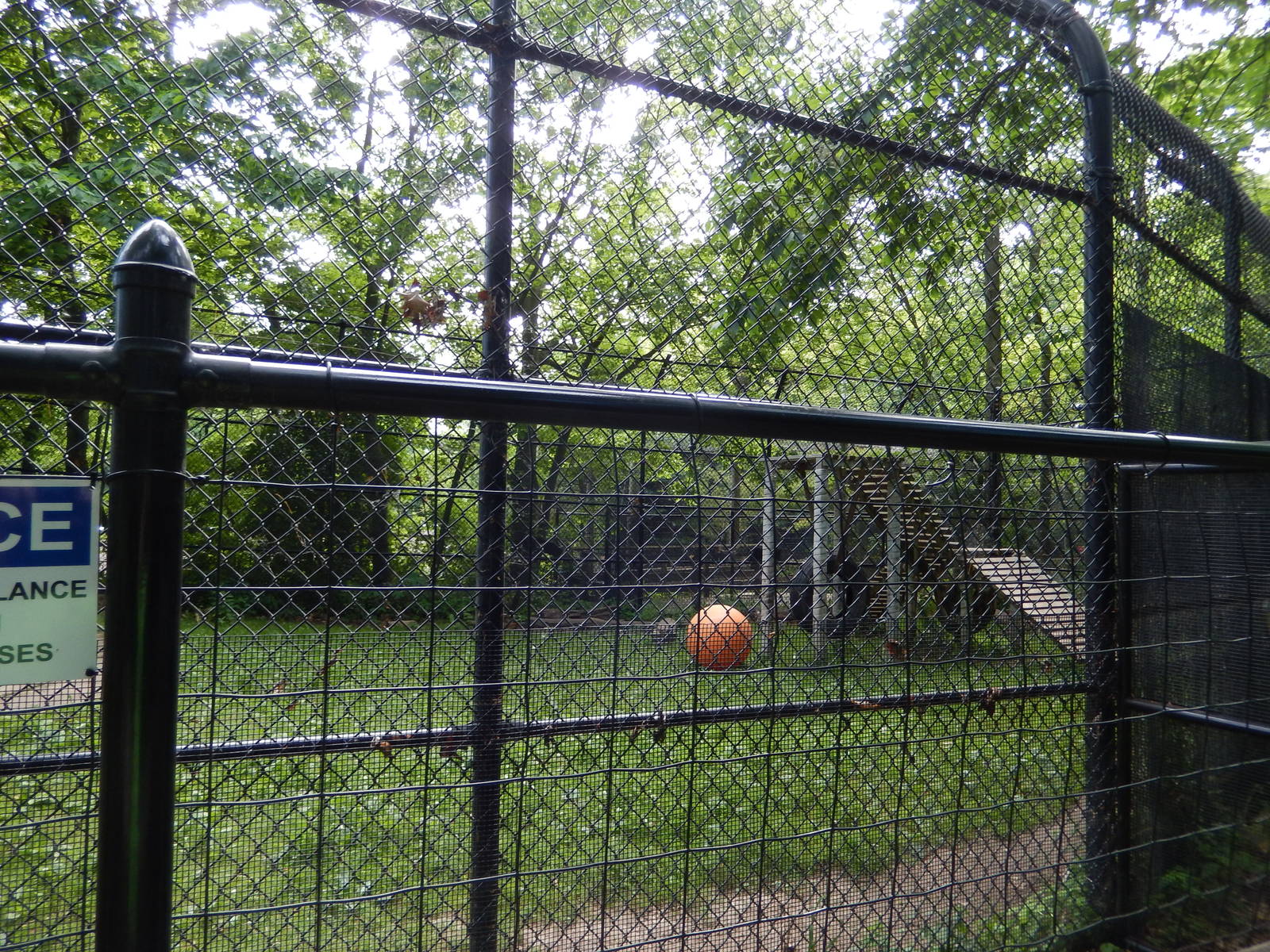 6/23/2016 - Asian Black Bear Exhibit (Right Half)