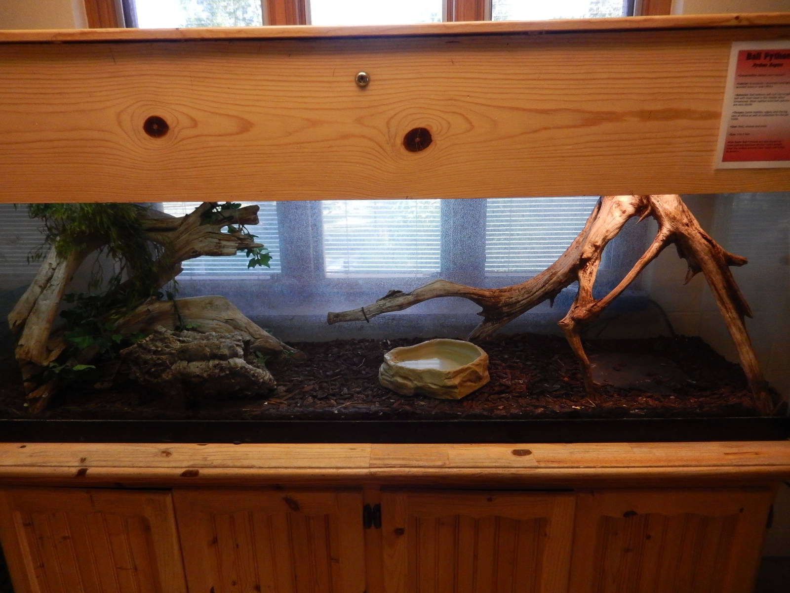 6/23/2016 - Ball Python Terrarium