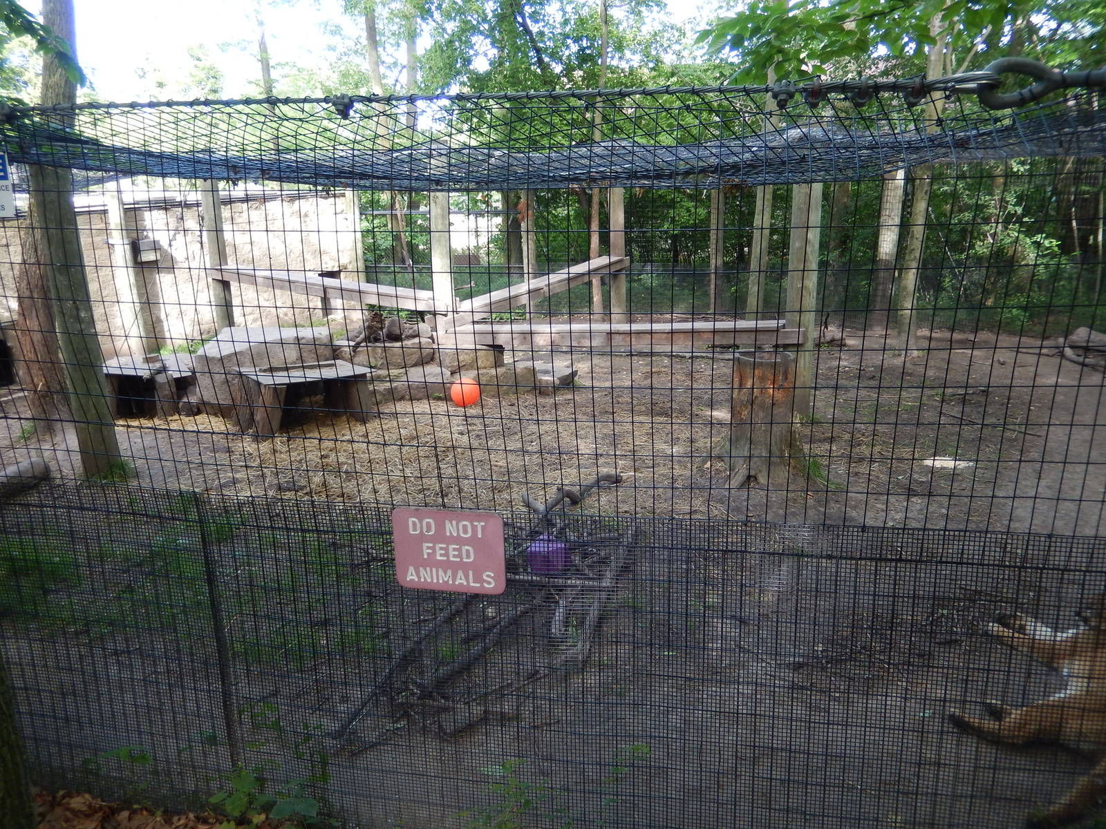 6/23/2016 - Cougar Exhibit