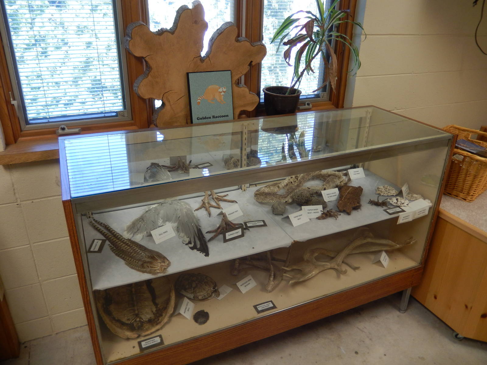 6/23/2016 - Display Table