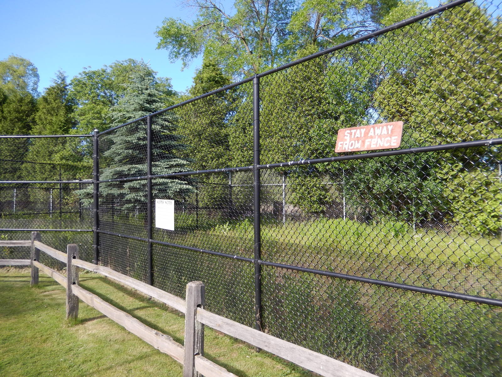 6/23/2016 - Former White-Tailed Deer Exhibit (Left Half)