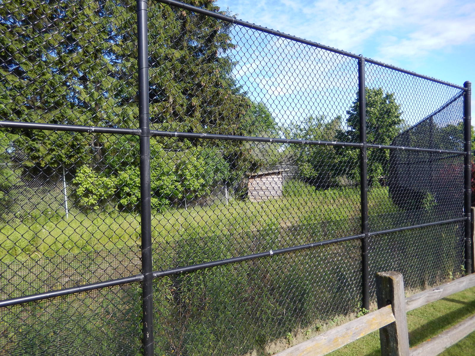 6/23/2016 - Former White-Tailed Deer Exhibit (Right Half)