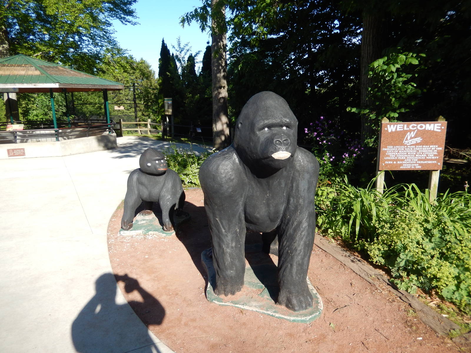 6/23/2016 - Gorilla Statues