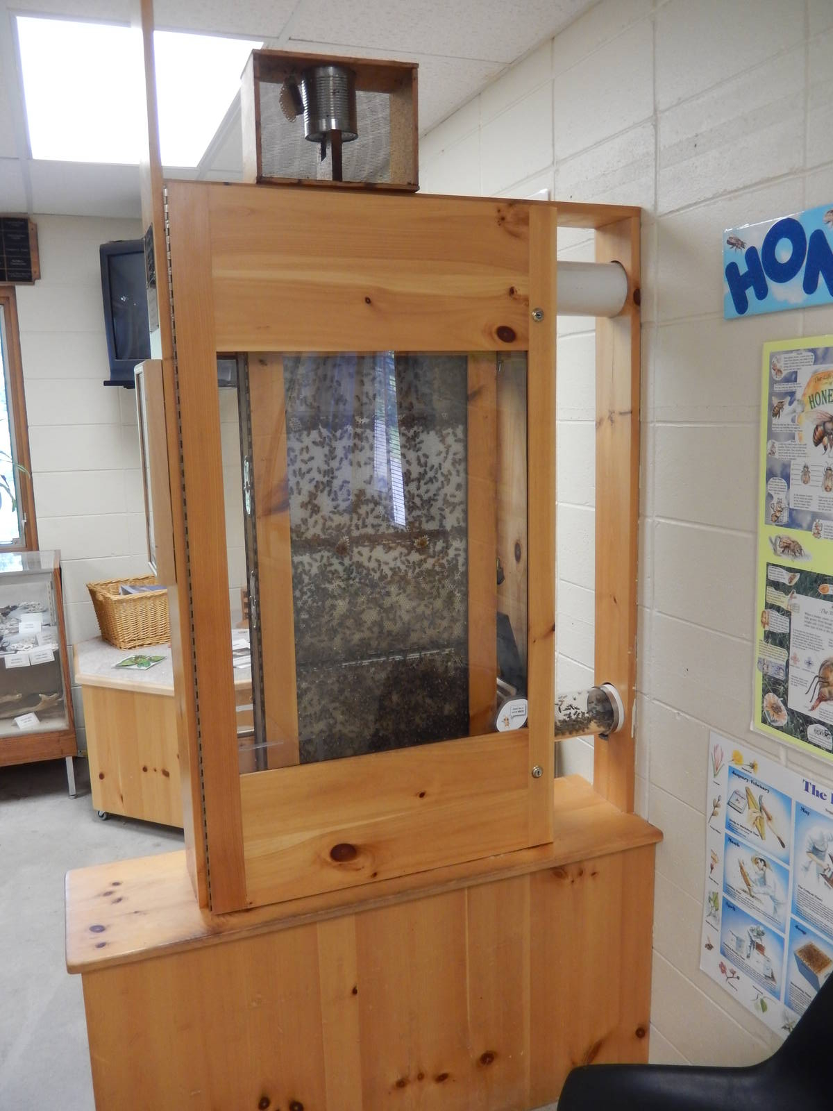 6/23/2016 - Honey Beehive