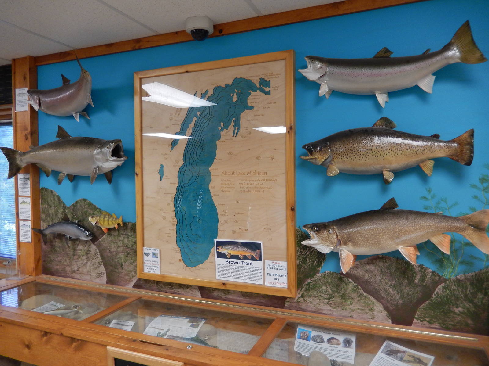 6/23/2016 - Lake Michigan Display