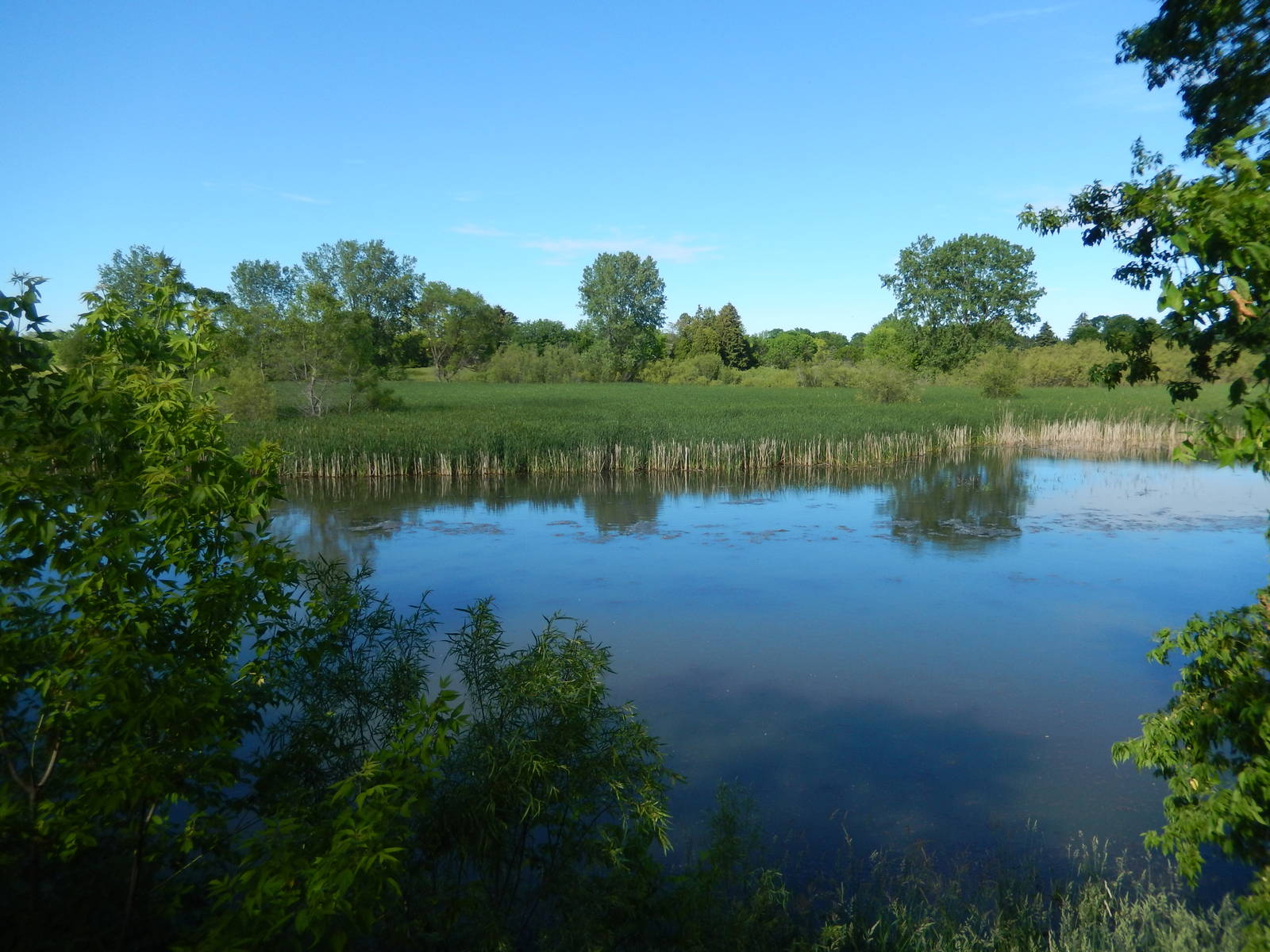 6/23/2016 - Little Manitowoc River Deck