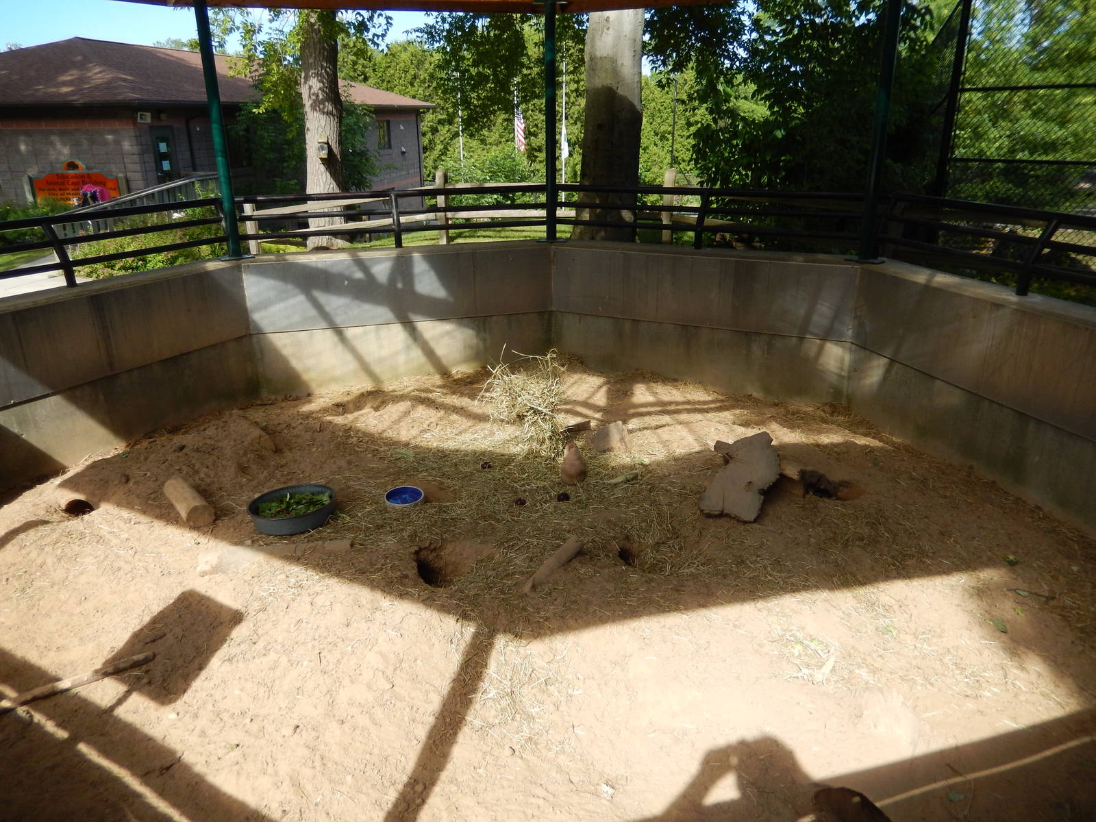 6/23/2016 - Prairie Dog Exhibit