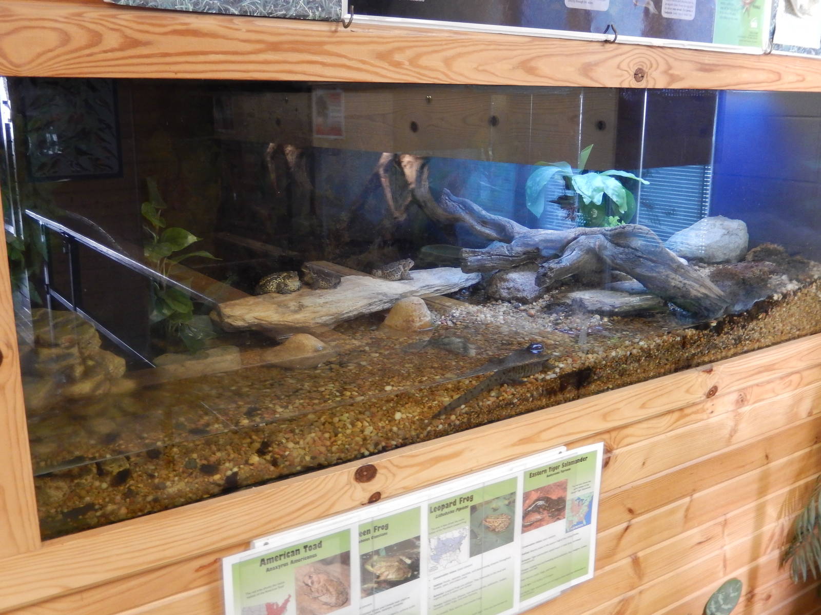 6/23/2016 - Terrarium