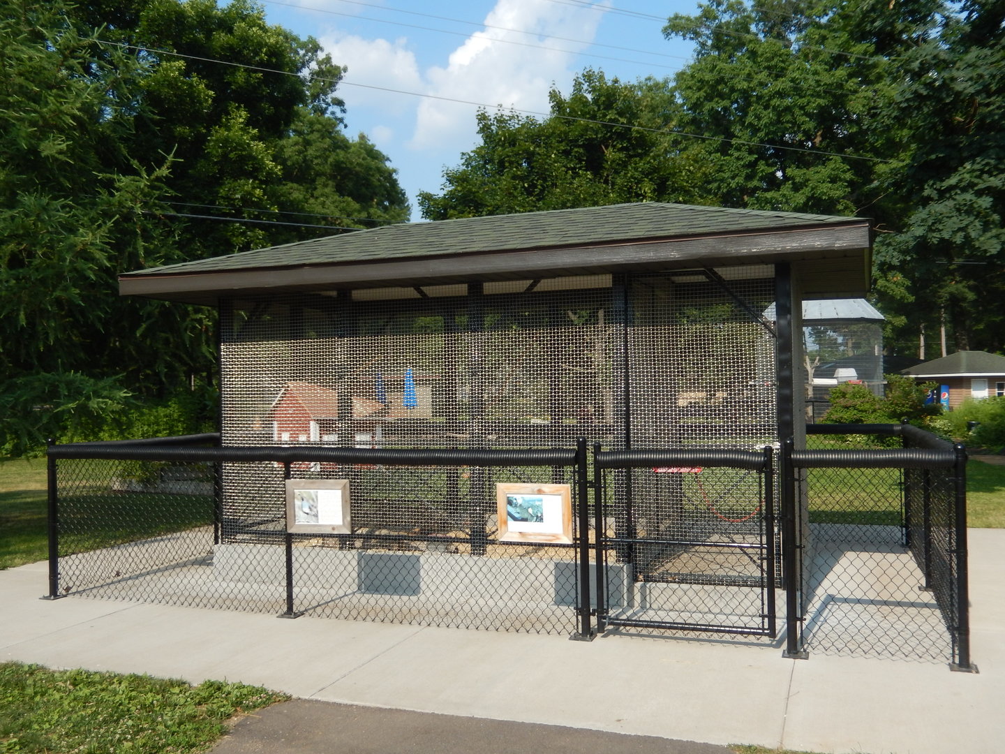 6/23/2023 - Bird Cage