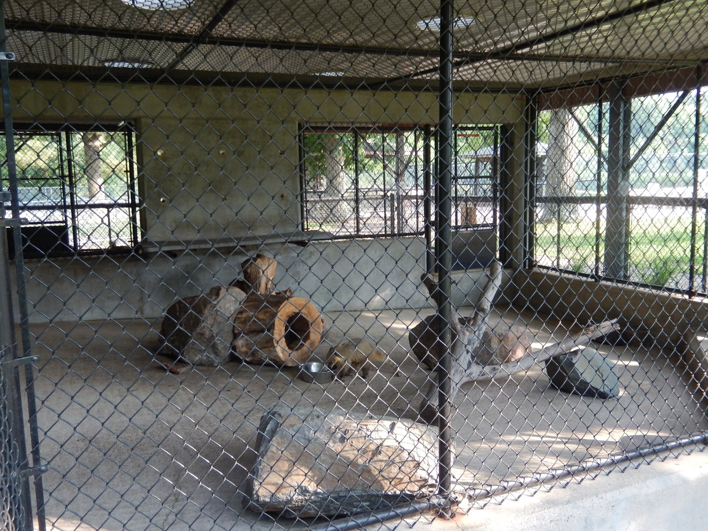 6/23/2023 - Coati Cage