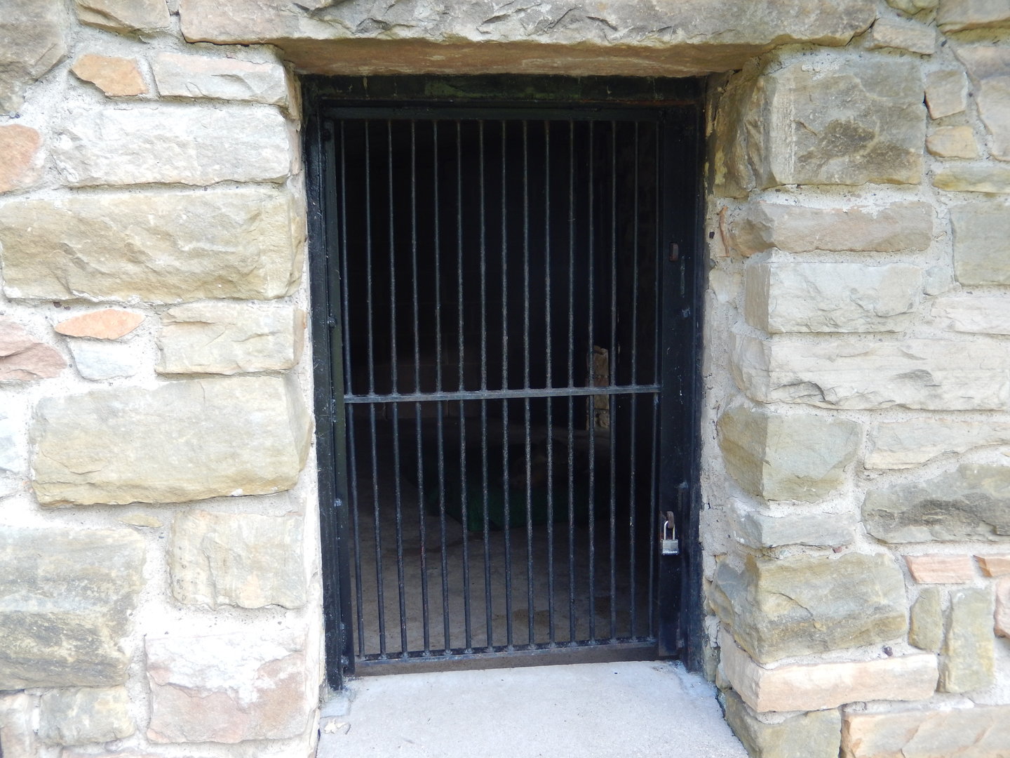 6/23/2023 - Coati Den