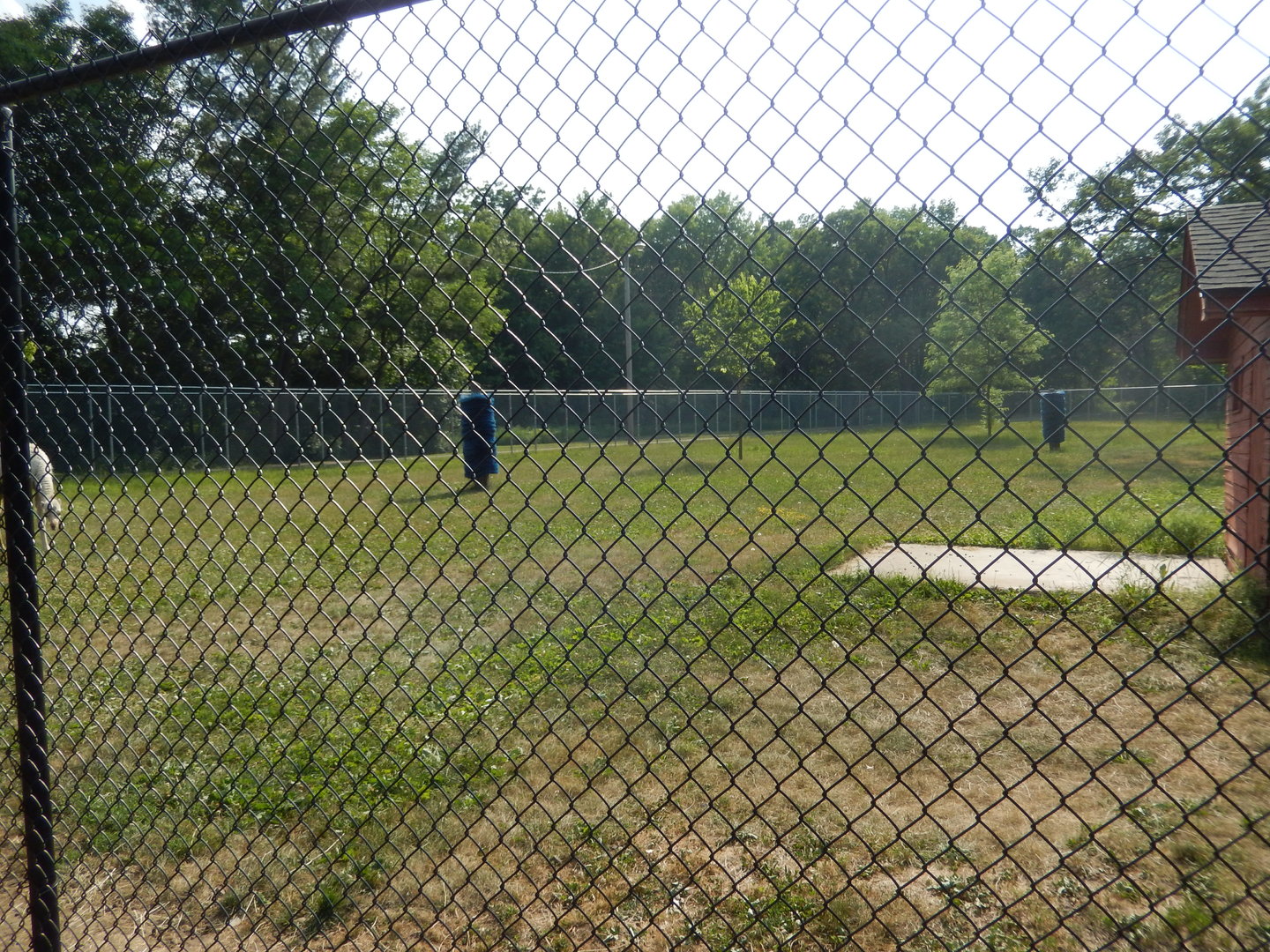 6/23/2023 - Dromedary Camel Habitat