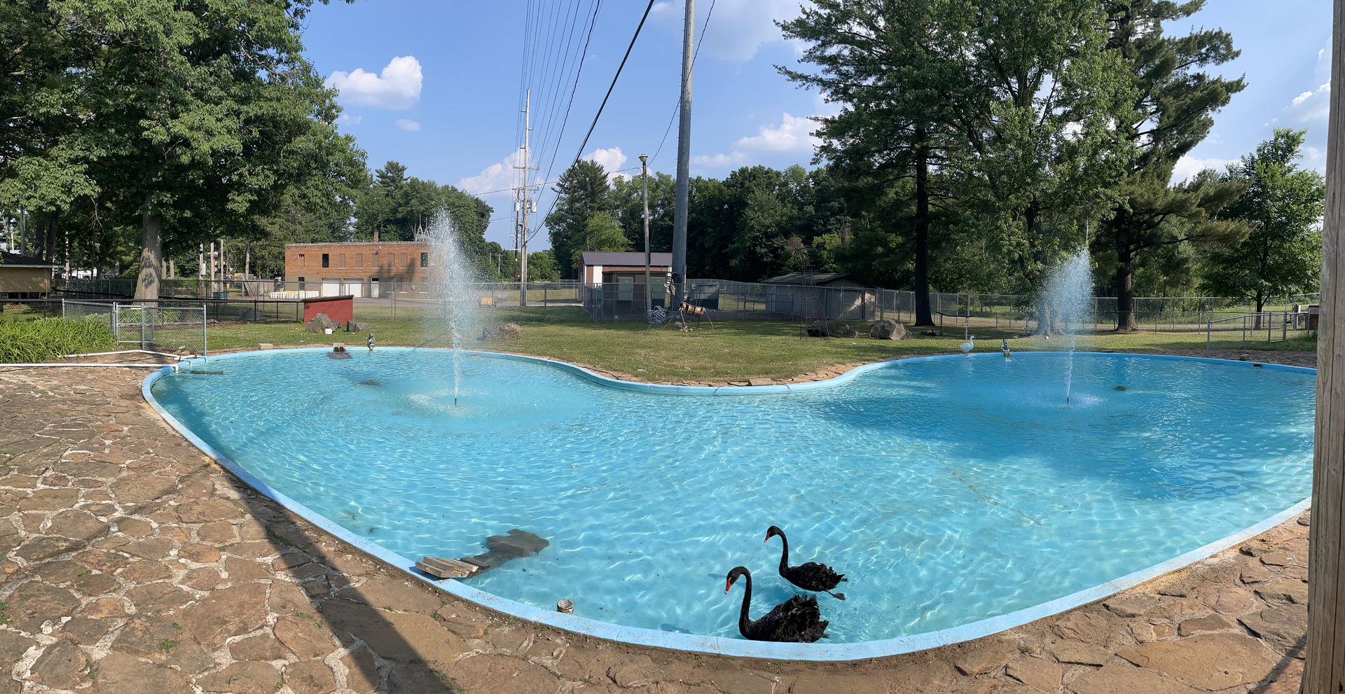 6/23/2023 - Duck Pond
