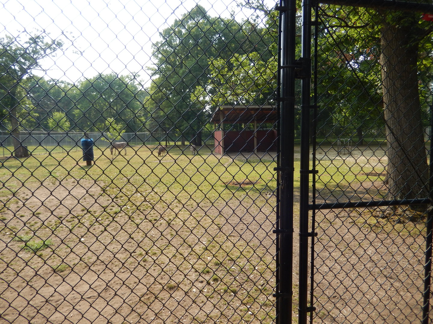 6/23/2023 - Equine Habitat (Left Half)