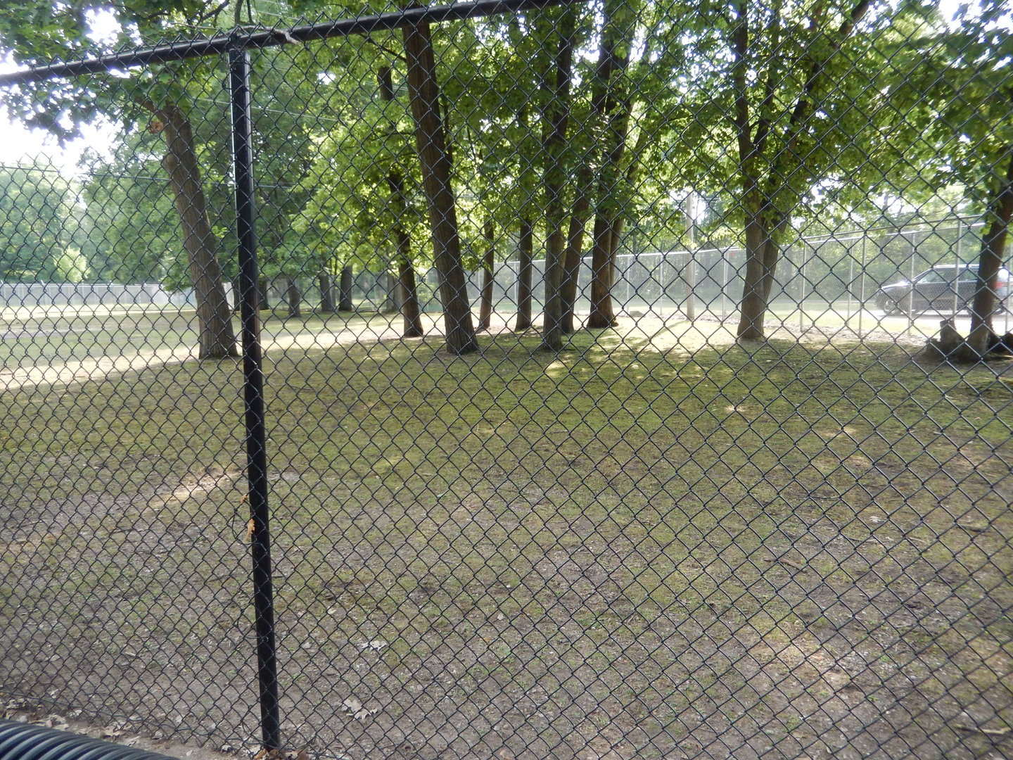 6/23/2023 - Equine Habitat (Right Half)