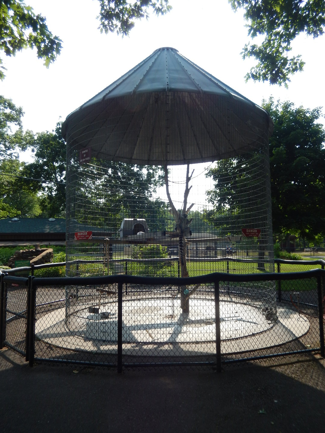 6/23/2023 - Ring-Tailed Lemur Cage