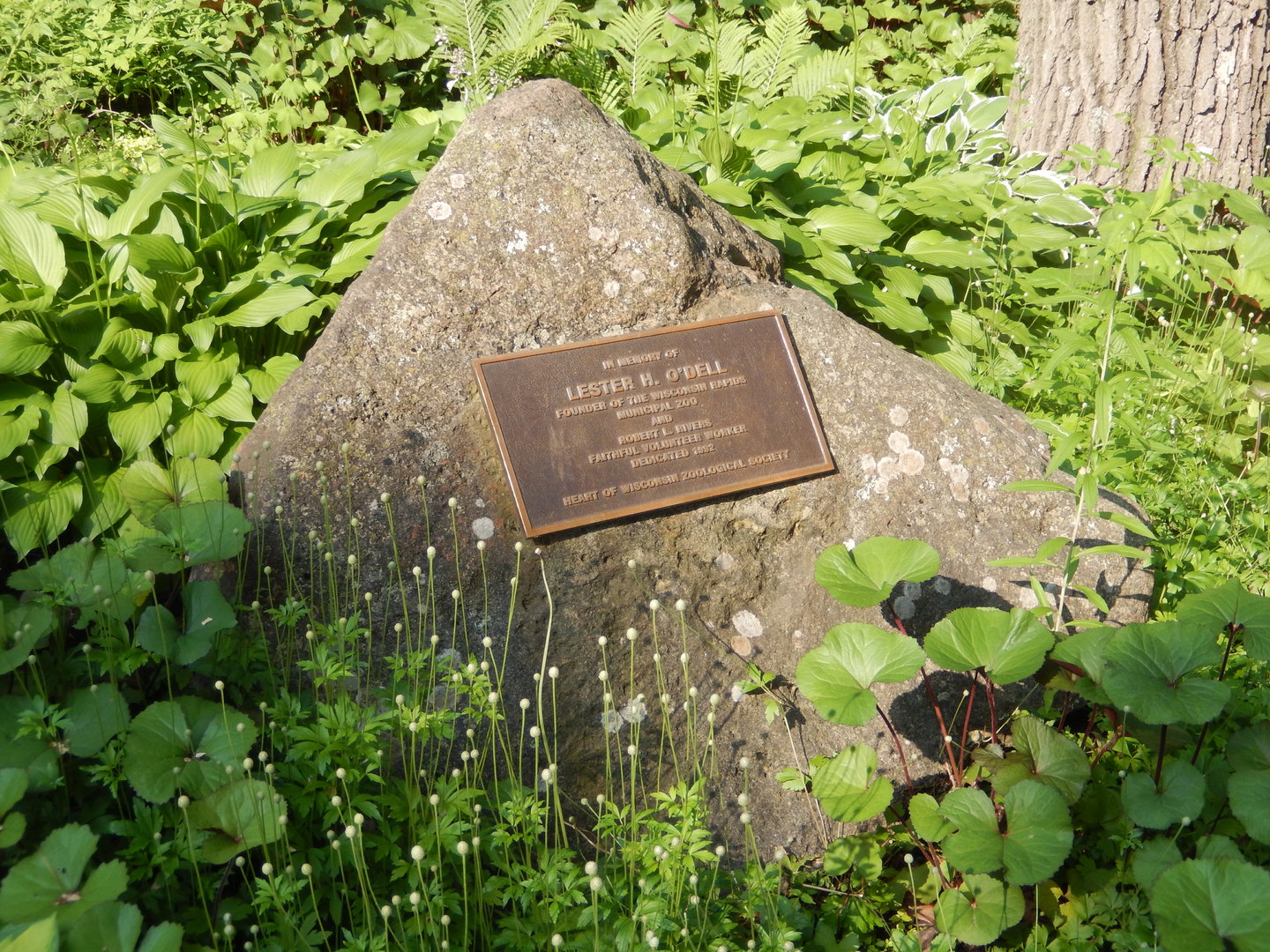6/23/2023 - Zoo Founder Plaque