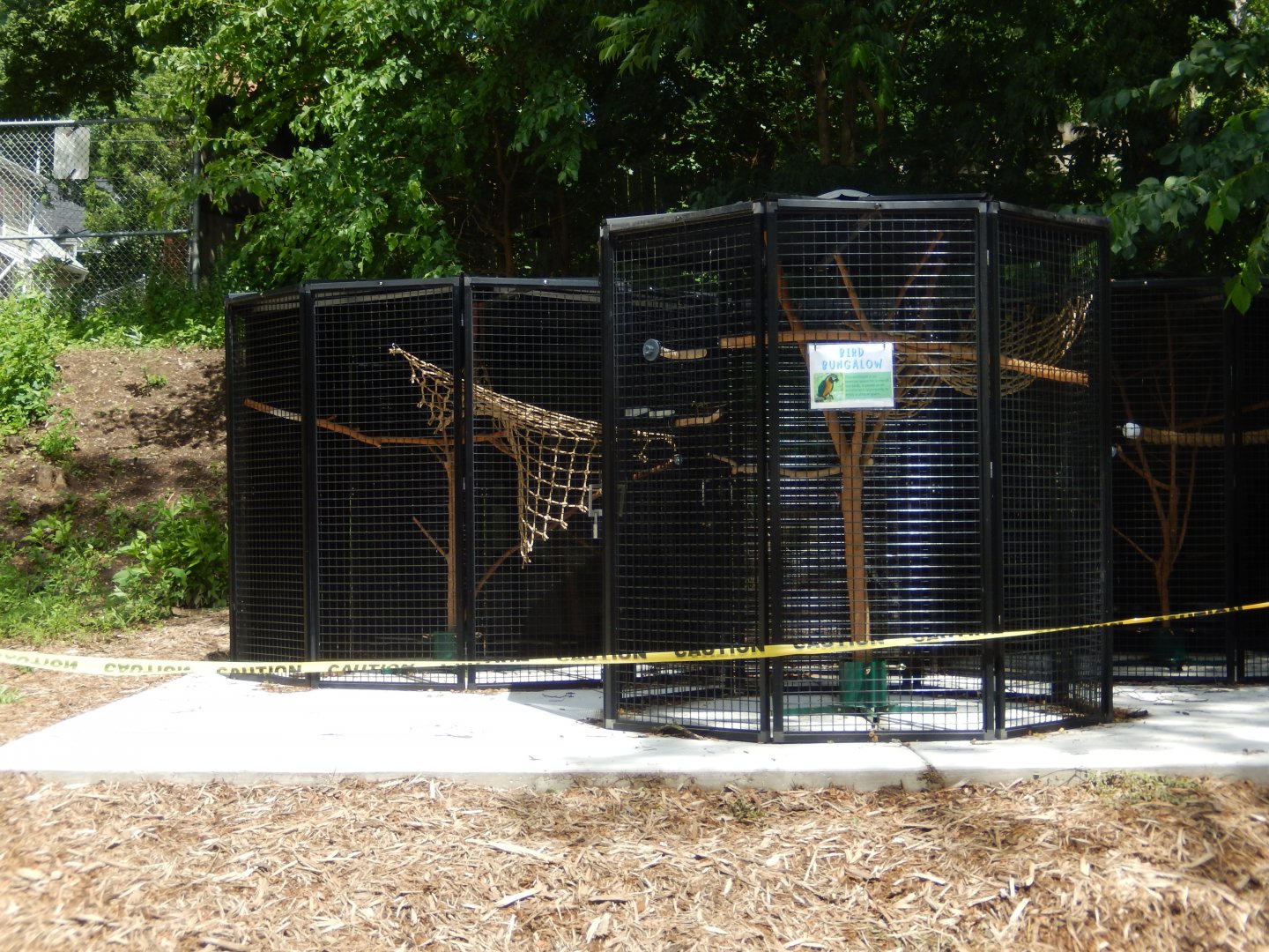 6/23/2024 - Bird Bungalow