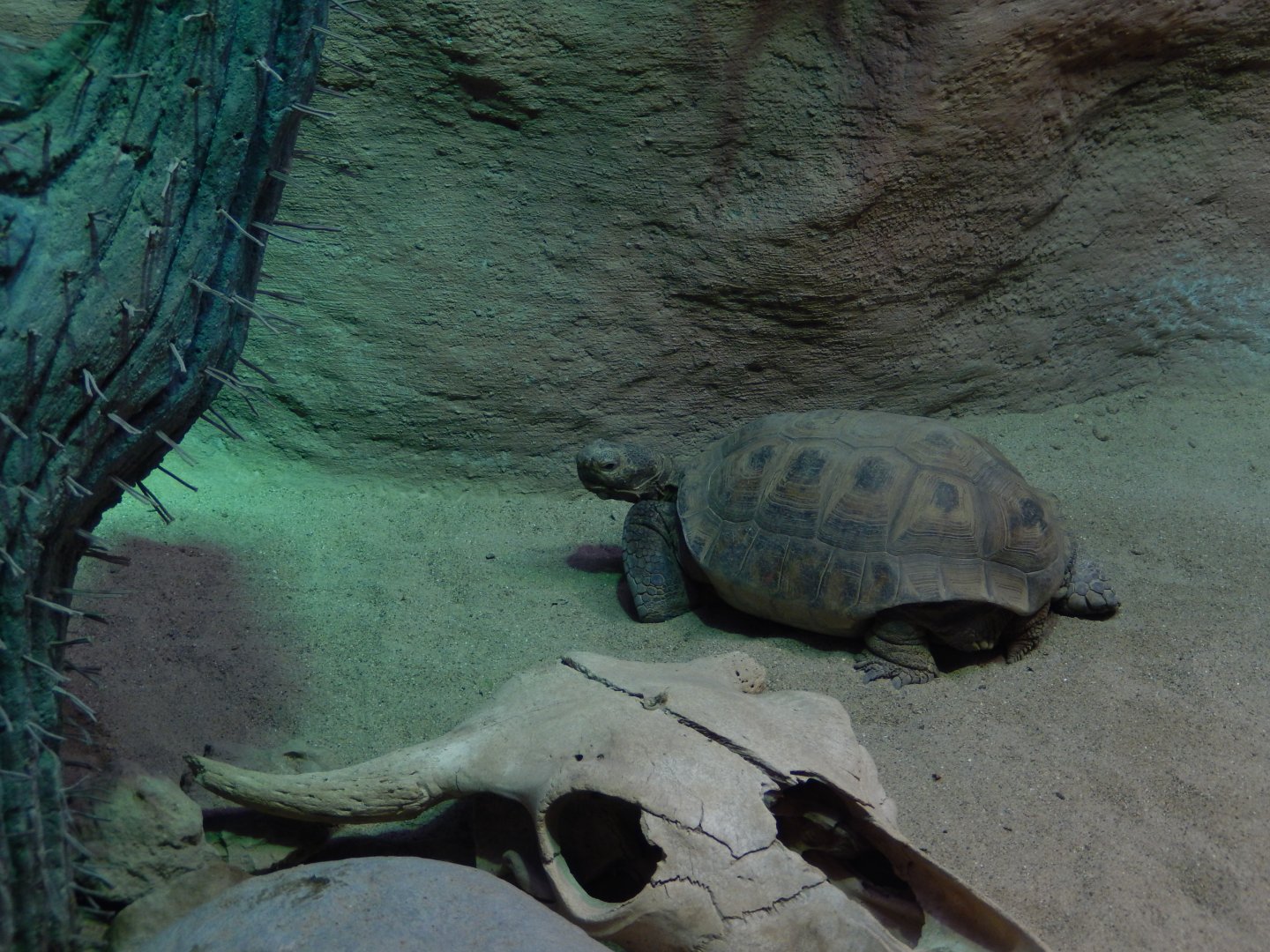 6/23/2024 - On a Journey...