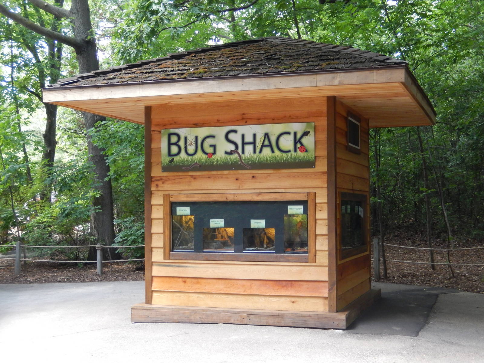 6/24/2016 - Bug Shack