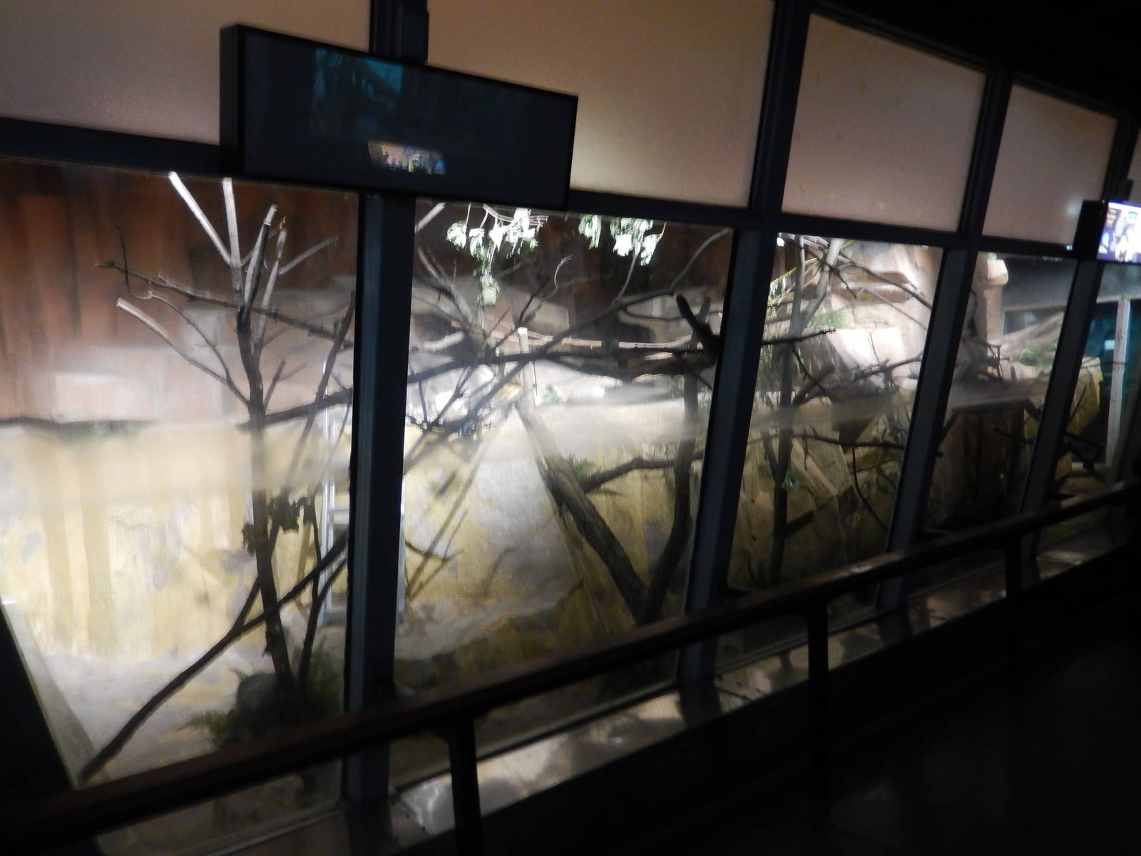 6/24/2016 - New Sloth Exhibit