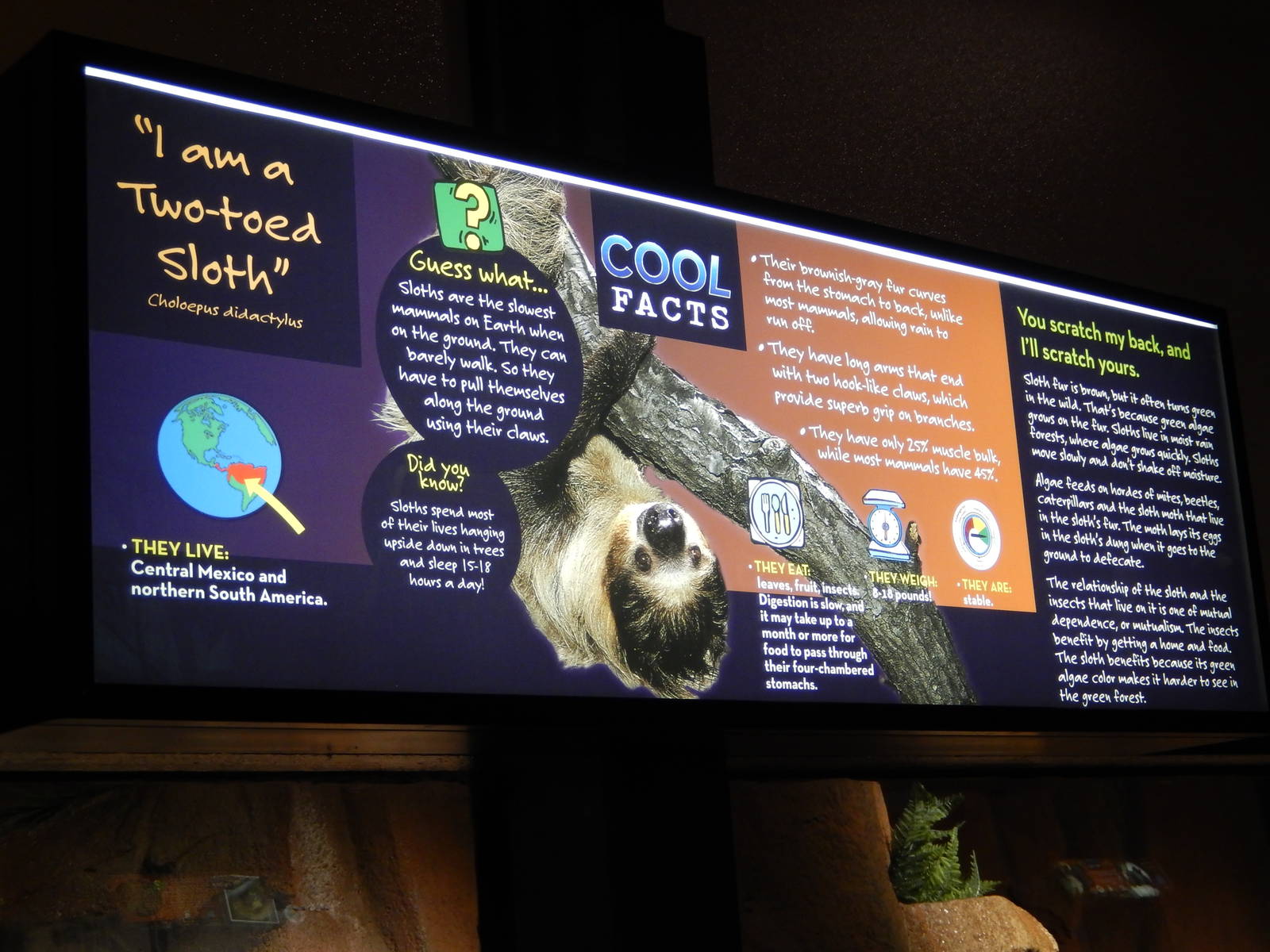 6/24/2016 - New Sloth Signage