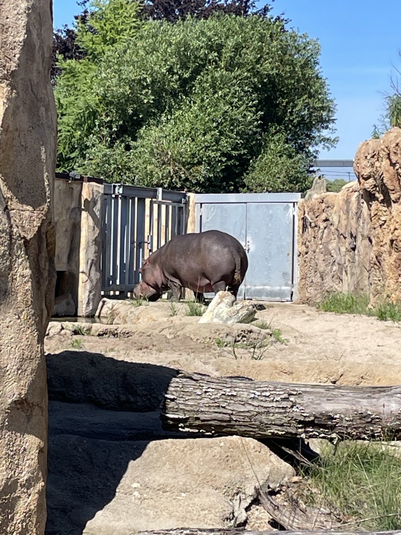 6/28/2025 - Happy on Land!