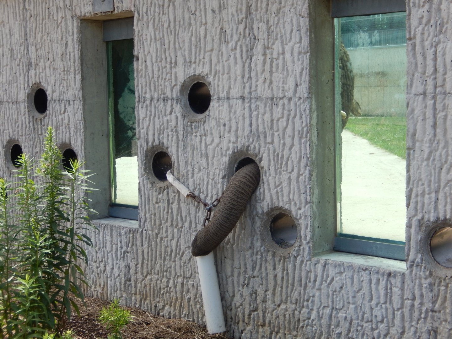 6/29/2024 - A Trunkful of Surprises