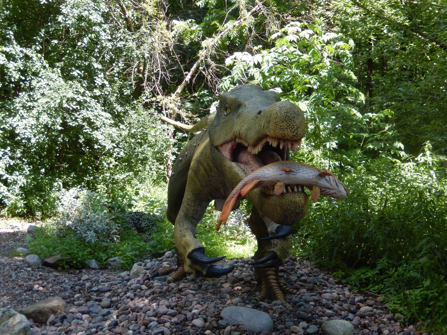 6/29/2024 - Baryonyx