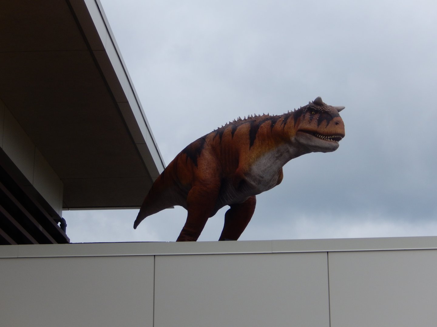 6/29/2024 - Godzilla?!