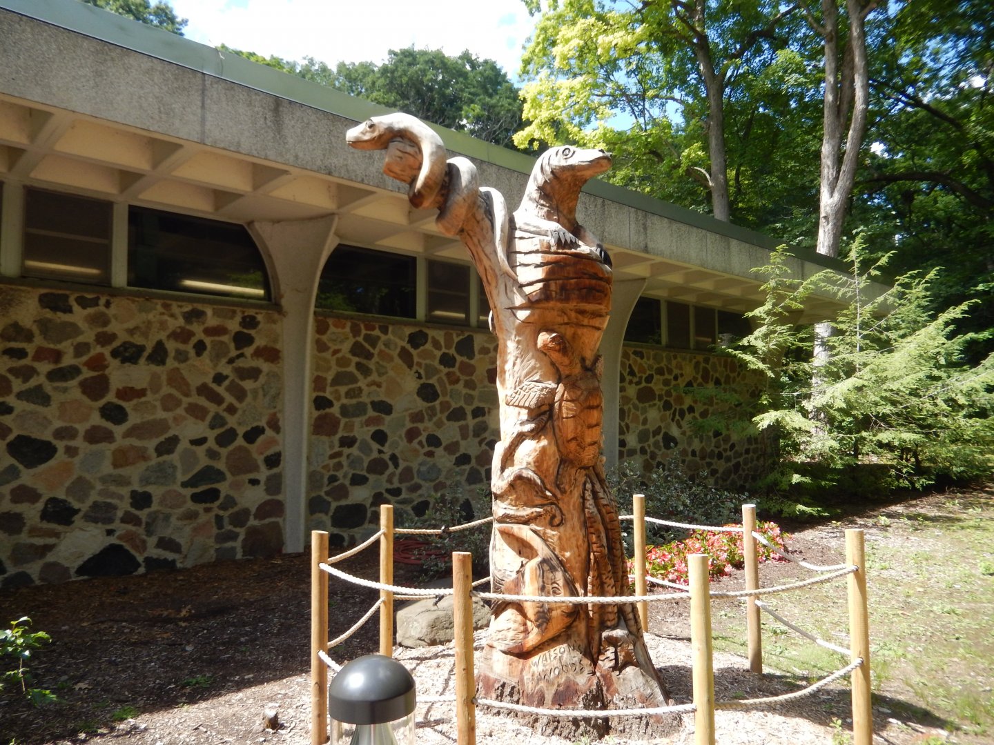 6/29/2024 - New Wooden Reptile Sculpture