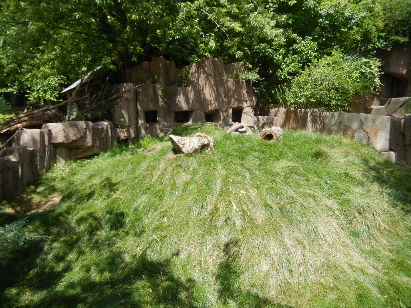 6/29/2024 - Prairie Dog Habitat