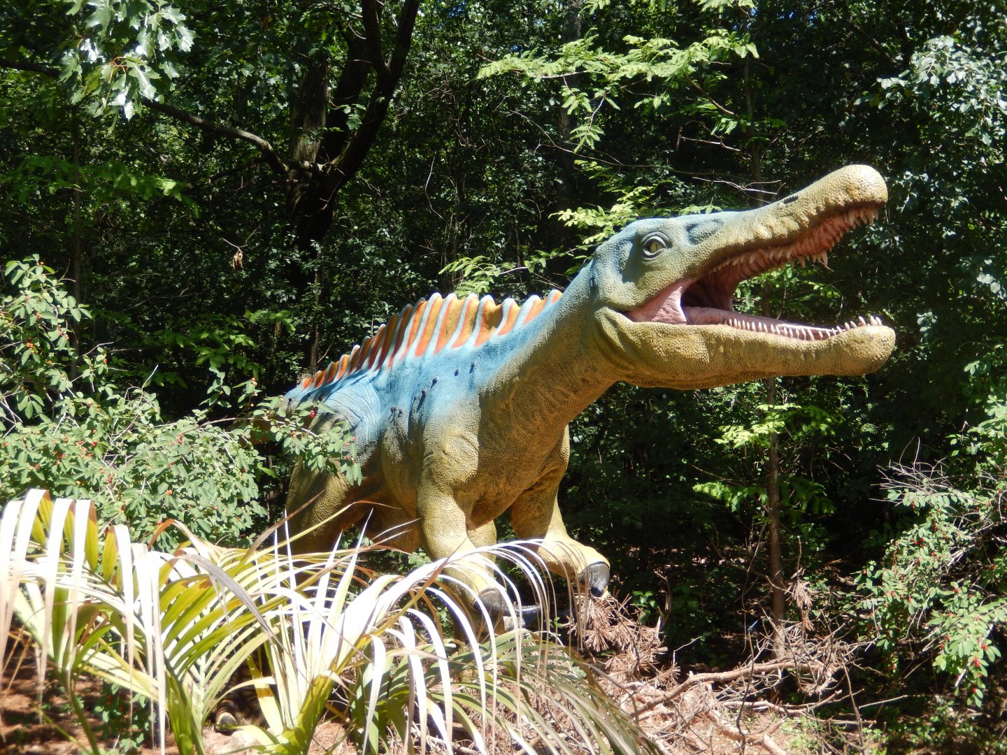 6/29/2024 - Suchomimus