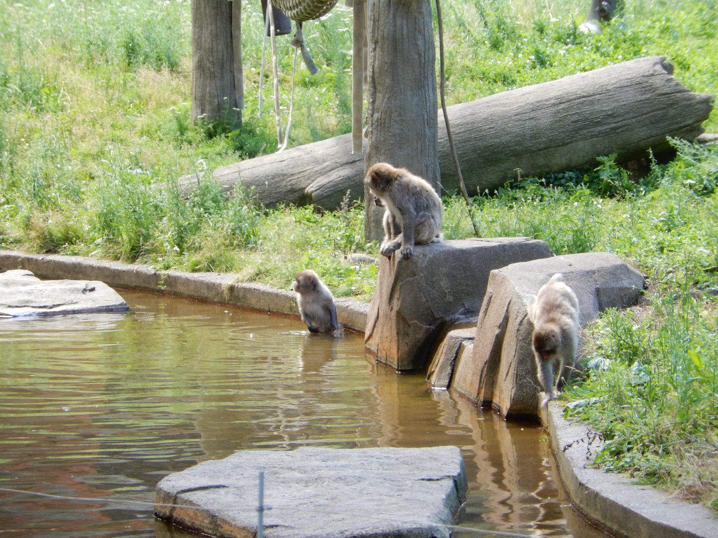 6/29/2024 - Testing the Water
