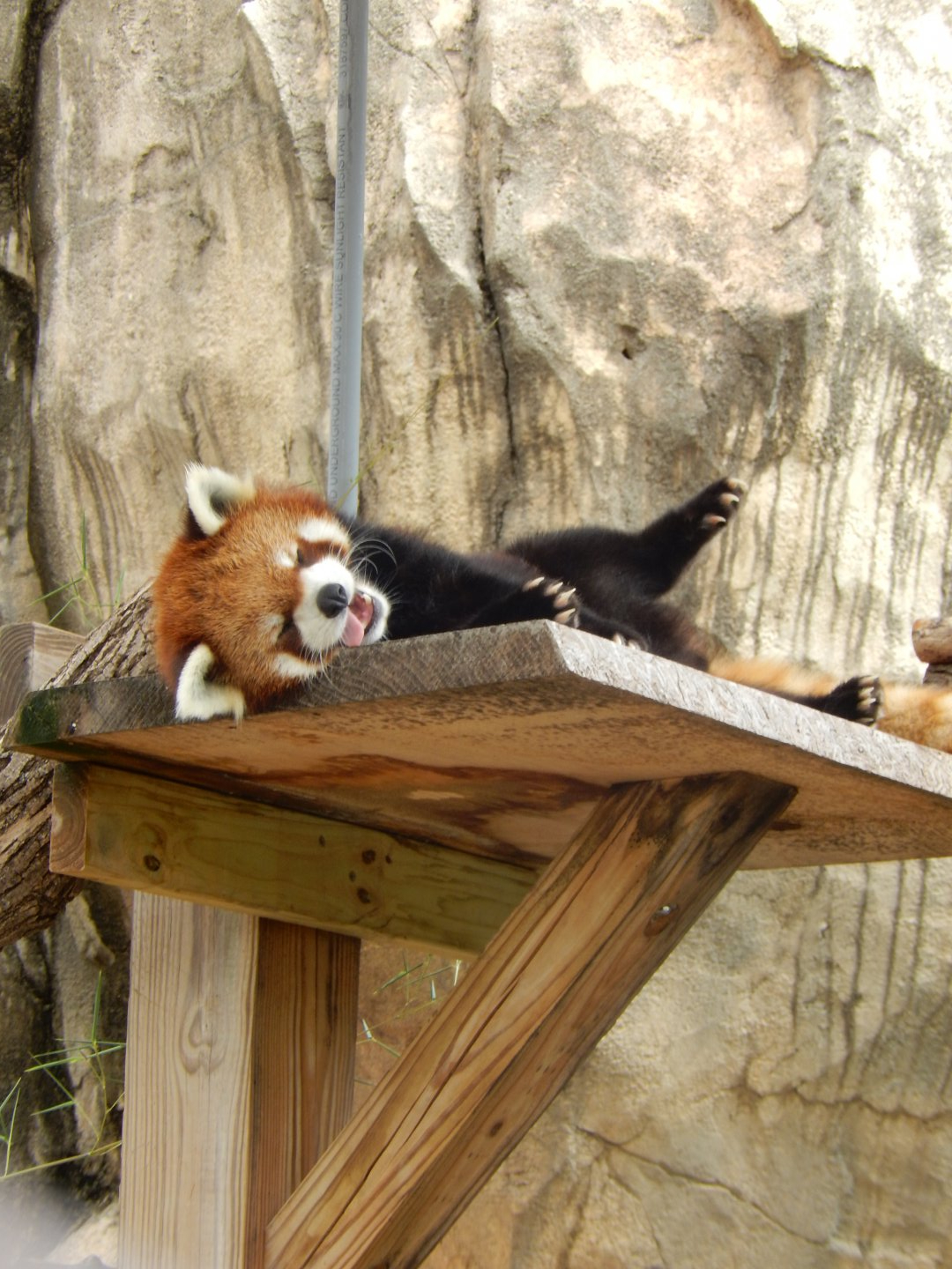 6/29/2024 - The Heat Beat Me...