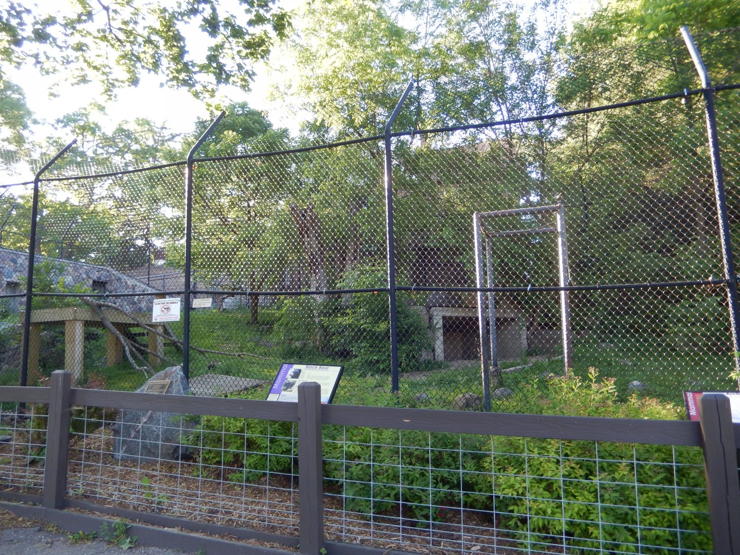 6/5/2020 - American Black Bear (former) & Arctic Fox Habitat