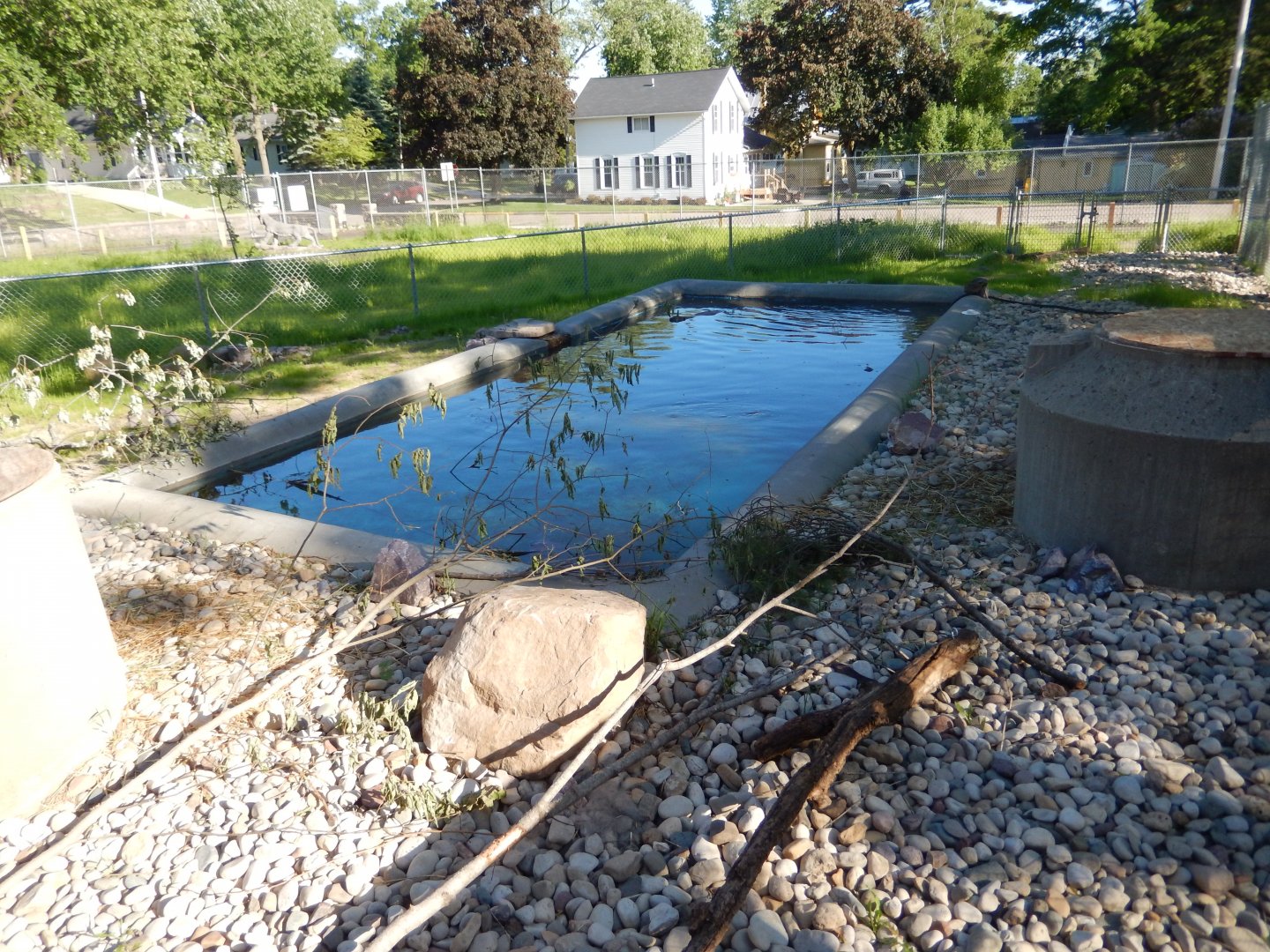 6/5/2020 - Beaver Exhibit