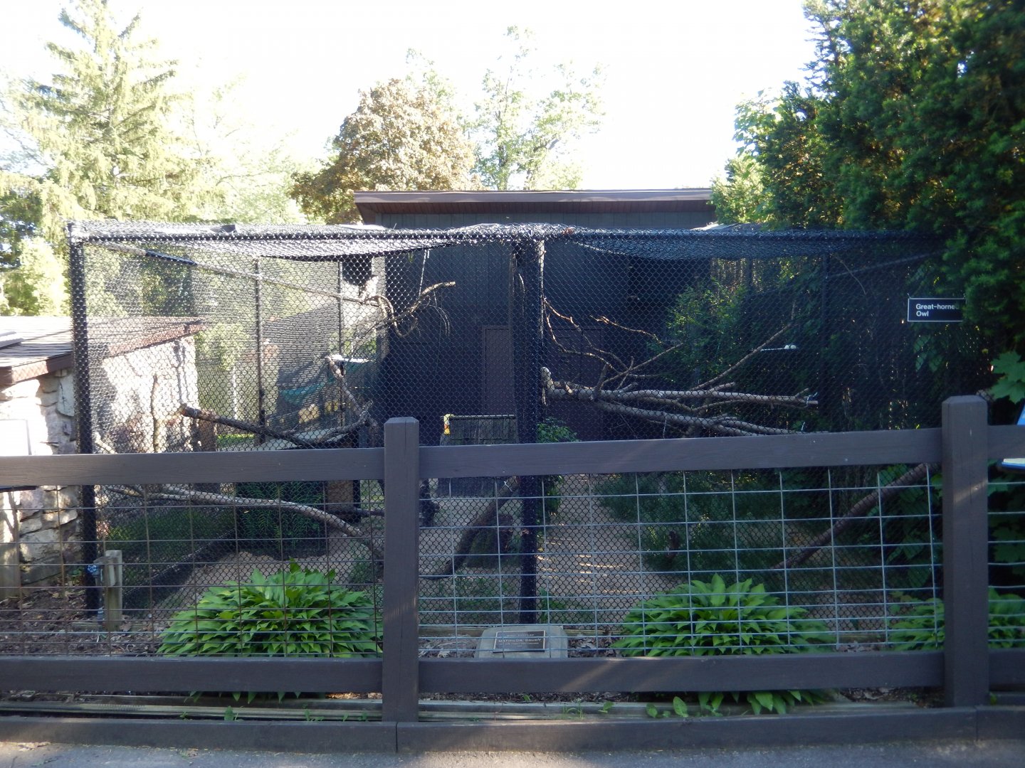 6/5/2020 - Owl Aviaries