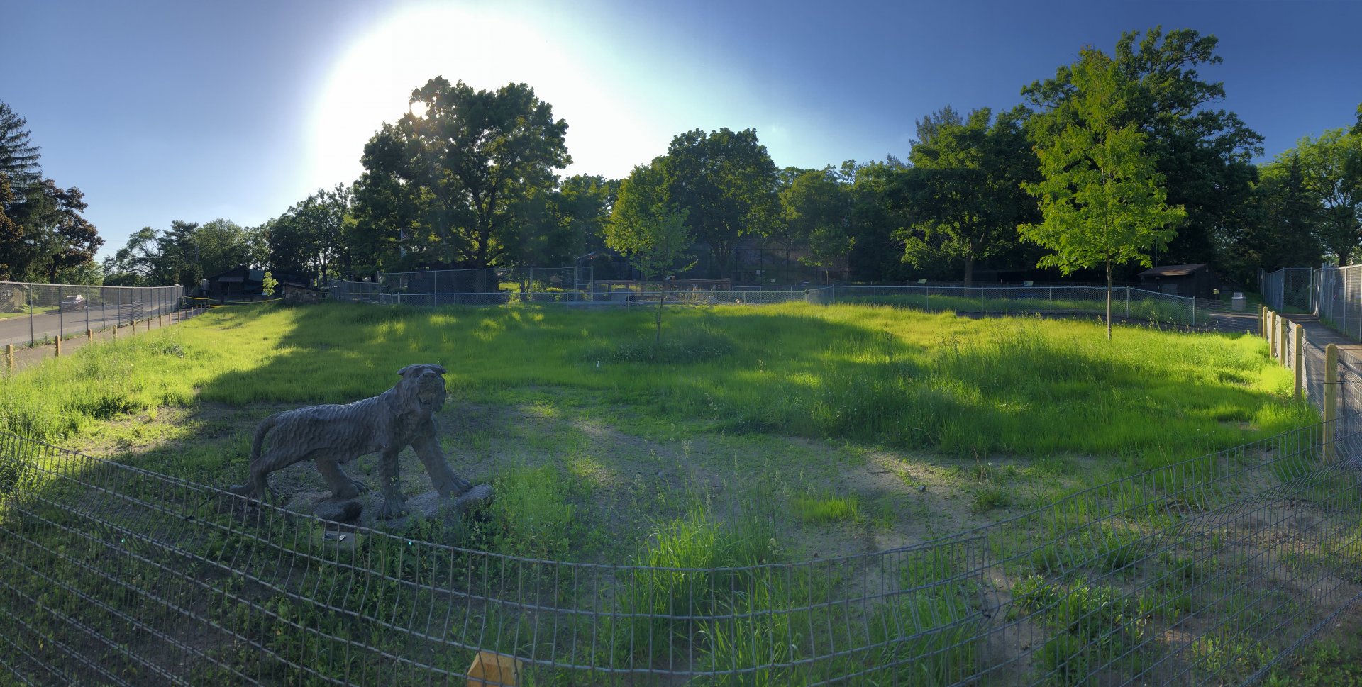 6/5/2020 - Panoramic Shot