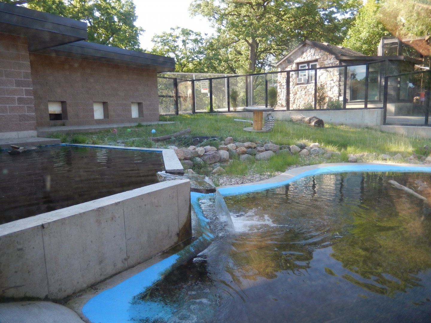 6/5/2020 - River Otter Habitat